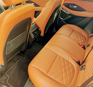 TONY'S ELITE MOBILE DETAILING expert cleaning car’s interior